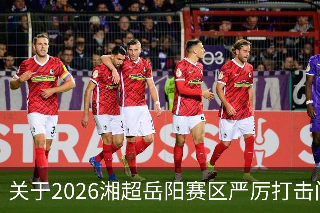 关于2026湘超岳阳赛区严厉打击门票黄牛倒卖行为及举报有奖的公告